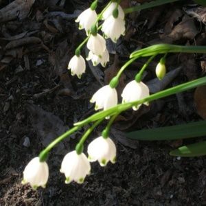 Meet your Posher, Alexandria